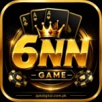 6nn game logo