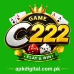 C222 Game Logo