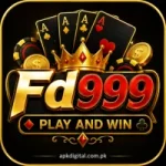 FD999 Game Logo