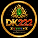 DK222 Game Logo