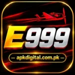 E999 Logo