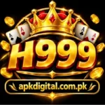 H999 Logo