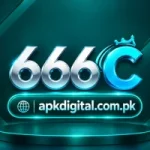 666C Logo